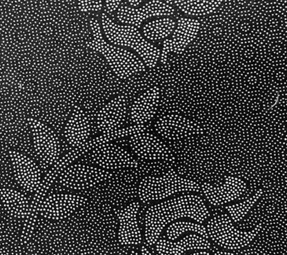 22a65cb3edd04c10f22cbbdba297357